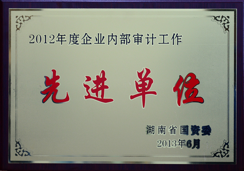 湖南省企業(yè)內(nèi)部審計工作先進單位